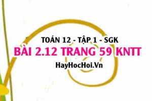 Bài 2.12 trang 59 Toán 12 tập 1 Kết nối tri thức